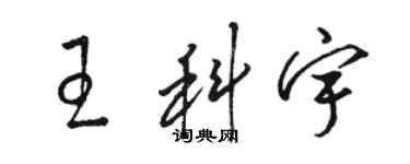 骆恒光王科宇草书个性签名怎么写