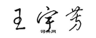 骆恒光王宇芳草书个性签名怎么写