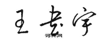 骆恒光王书宇草书个性签名怎么写