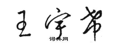 骆恒光王宇希草书个性签名怎么写