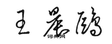 骆恒光王晨鸥草书个性签名怎么写