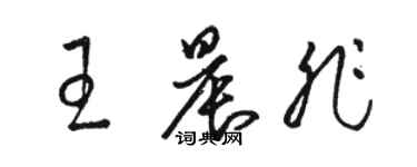 骆恒光王晨非草书个性签名怎么写