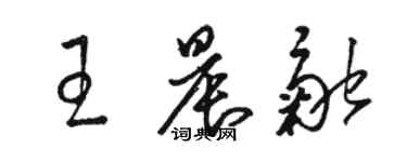 骆恒光王晨融草书个性签名怎么写