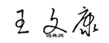 骆恒光王文康草书个性签名怎么写