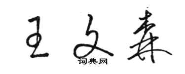骆恒光王文森草书个性签名怎么写