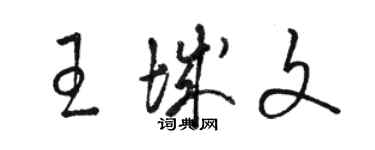 骆恒光王城文草书个性签名怎么写