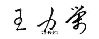 骆恒光王力荣草书个性签名怎么写