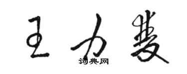 骆恒光王力双草书个性签名怎么写
