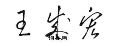 骆恒光王成宏草书个性签名怎么写