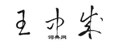 骆恒光王中成草书个性签名怎么写