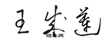 骆恒光王成莲草书个性签名怎么写