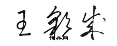 骆恒光王彩成草书个性签名怎么写