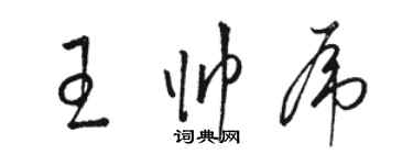 骆恒光王帅虎草书个性签名怎么写