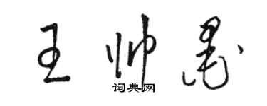 骆恒光王帅墨草书个性签名怎么写