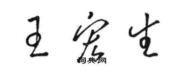 骆恒光王宏生草书个性签名怎么写