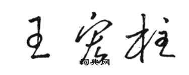 骆恒光王宏柱草书个性签名怎么写