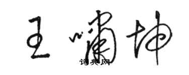 骆恒光王啸坤草书个性签名怎么写