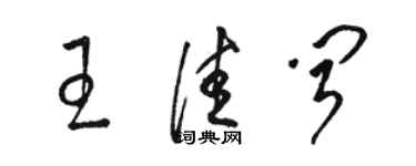 骆恒光王佳闻草书个性签名怎么写