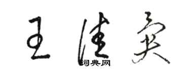 骆恒光王佳异草书个性签名怎么写