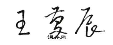 骆恒光王庆辰草书个性签名怎么写