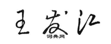 骆恒光王发江草书个性签名怎么写
