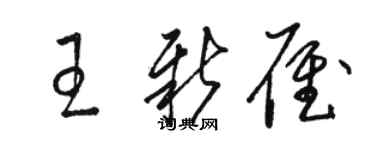 骆恒光王新雁草书个性签名怎么写