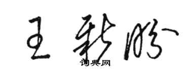 骆恒光王新盼草书个性签名怎么写