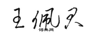 骆恒光王佩君草书个性签名怎么写