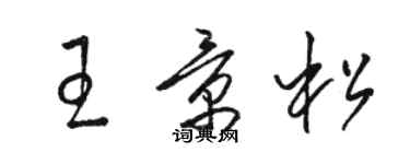 骆恒光王景松草书个性签名怎么写