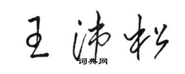 骆恒光王沛松草书个性签名怎么写