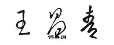 骆恒光王昌青草书个性签名怎么写