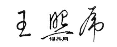 骆恒光王照虎草书个性签名怎么写