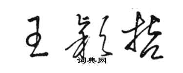 骆恒光王颖哲草书个性签名怎么写