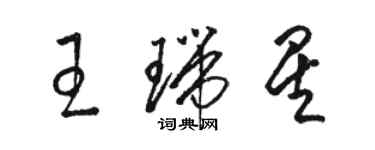 骆恒光王瑞星草书个性签名怎么写