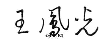 骆恒光王凤光草书个性签名怎么写