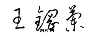 骆恒光王钢兰草书个性签名怎么写