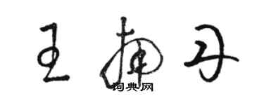骆恒光王南丹草书个性签名怎么写