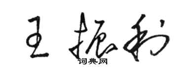 骆恒光王振利草书个性签名怎么写