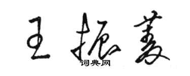 骆恒光王振菱草书个性签名怎么写