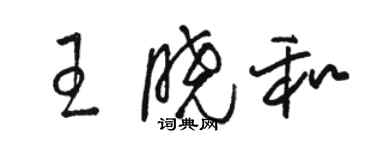 骆恒光王晓和草书个性签名怎么写