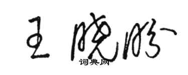 骆恒光王晓盼草书个性签名怎么写