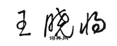 骆恒光王晓将草书个性签名怎么写