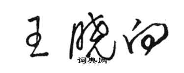 骆恒光王晓向草书个性签名怎么写
