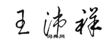 骆恒光王沛祥草书个性签名怎么写
