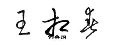 骆恒光王相春草书个性签名怎么写