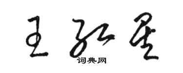 骆恒光王红星草书个性签名怎么写