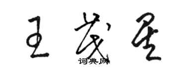 骆恒光王茂星草书个性签名怎么写