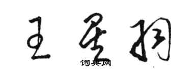 骆恒光王星羽草书个性签名怎么写