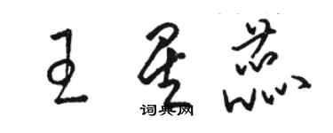 骆恒光王星蕊草书个性签名怎么写