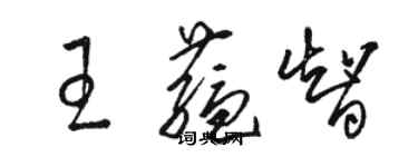 骆恒光王蕴智草书个性签名怎么写